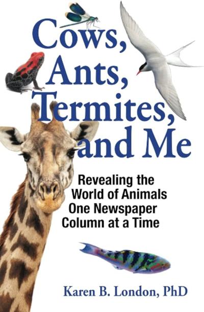 Cows, Ants, Termites, and Me.jpg