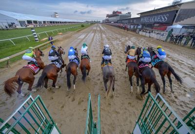 Preakness Trainers