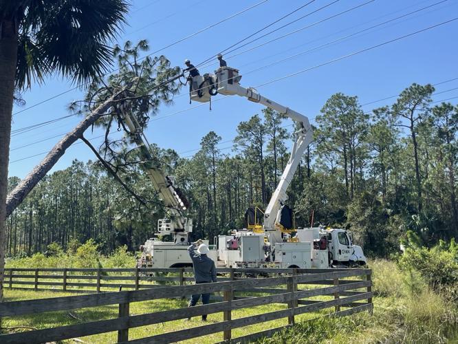 APS Hurricane Cleanup