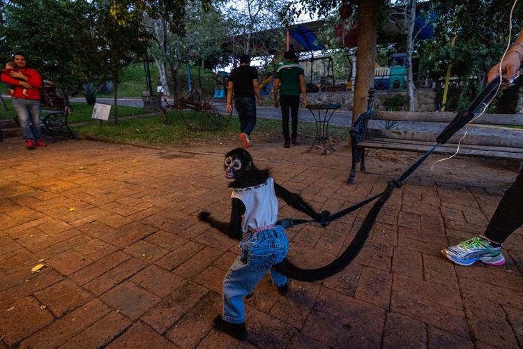 WORLD-NEWS-MEXICO-EXOTIC-PETS-LA
