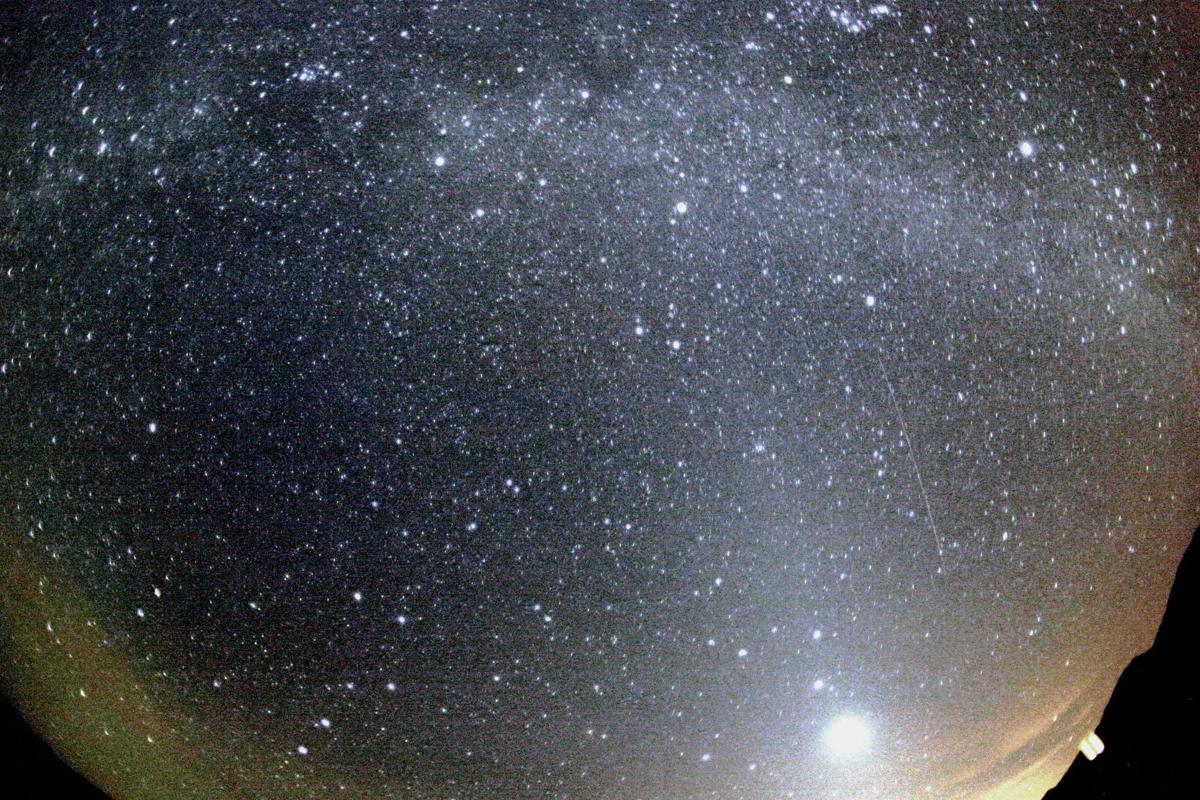 Orionid meteor