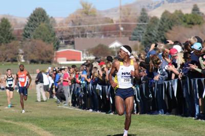 NAU Cross Country