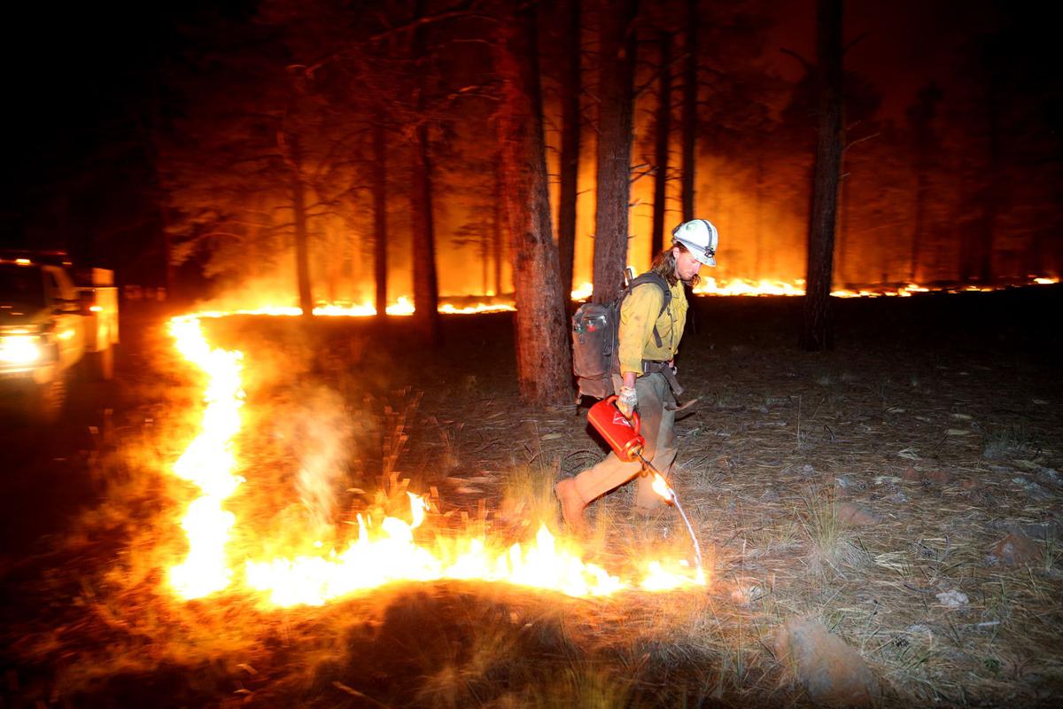 Life behind the wildfire line near Flagstaff Local