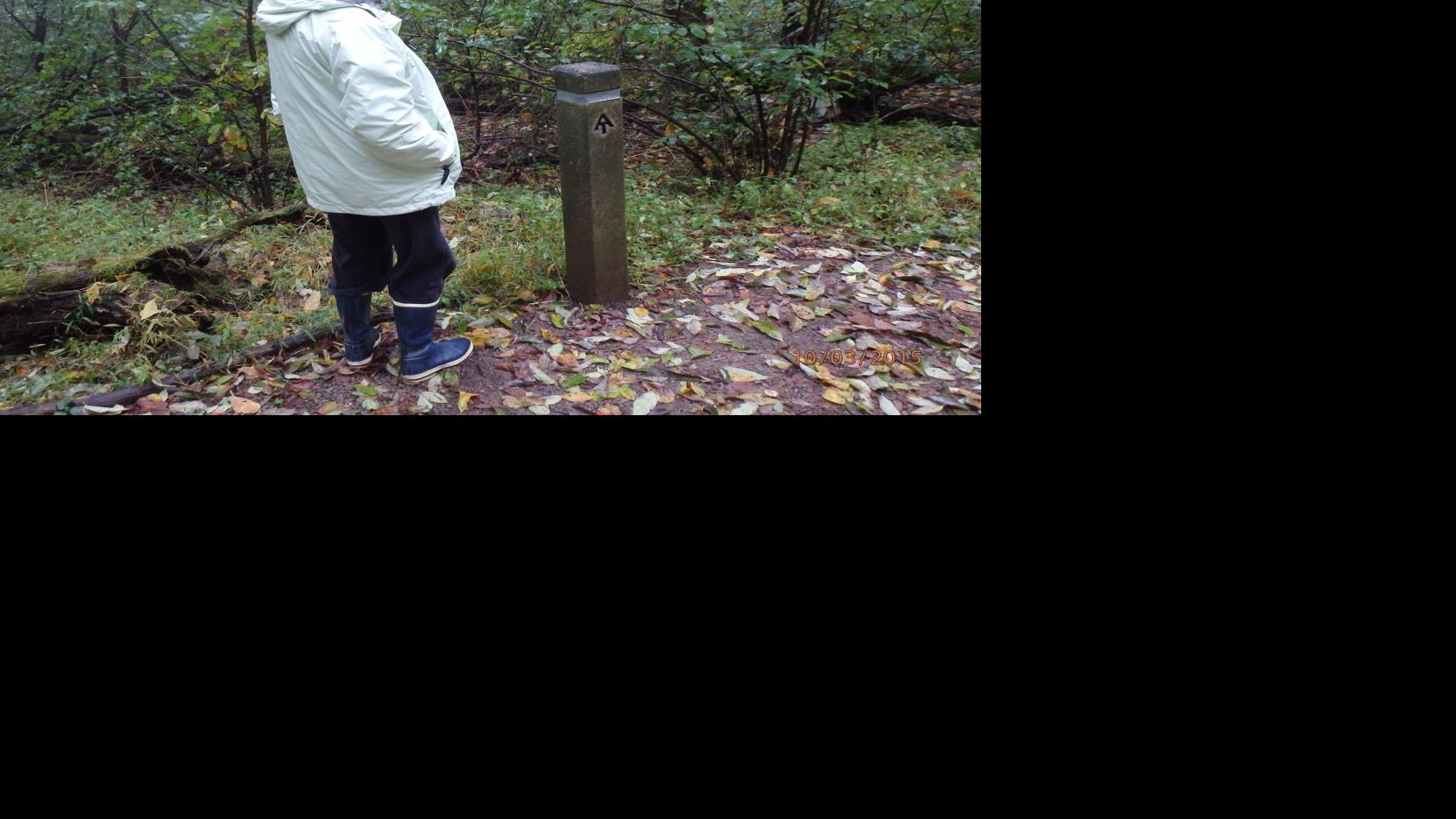 High Country Running: Take a walk in the woods