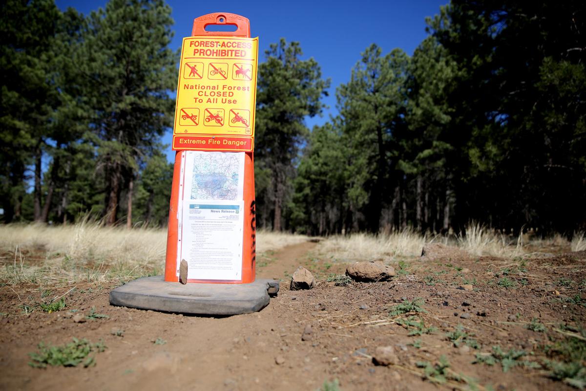 Full closure of Coconino National Forest begins June 23 ...