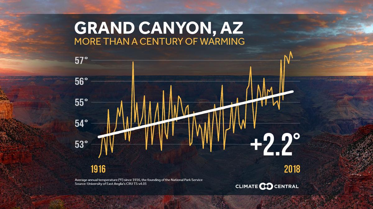 grand canyon graphic