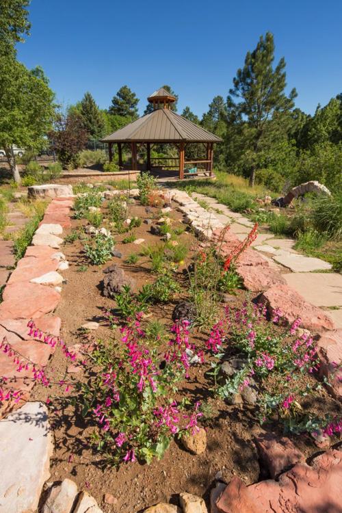 willow bend garden