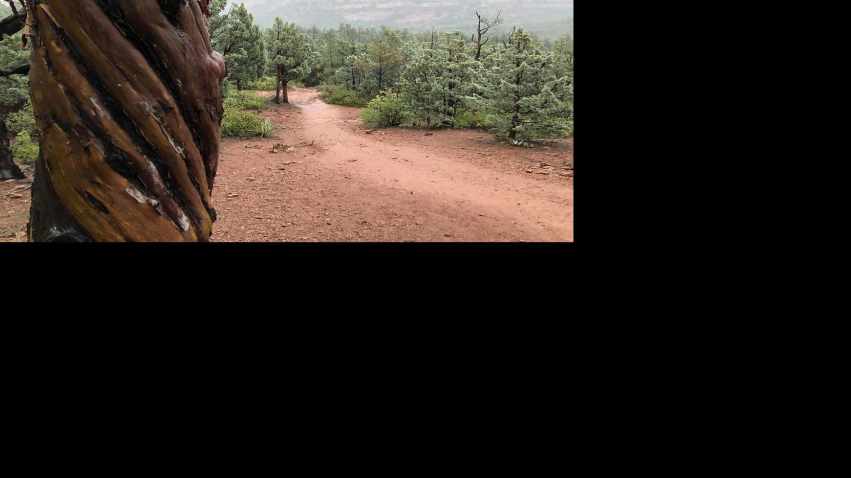 Solitude on Brins Mesa? A rare treat on Sedona trails
