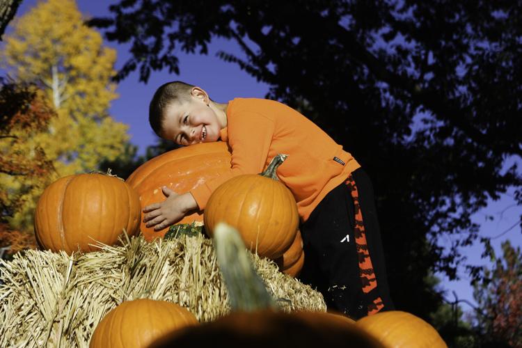 Gallery Pumpkin patch fun at Viola's Local News
