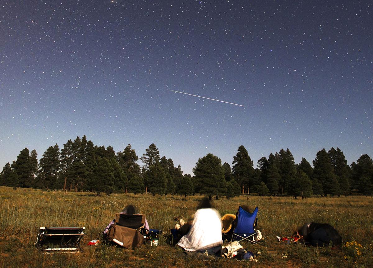 PERSEID PATIENCE (copy)