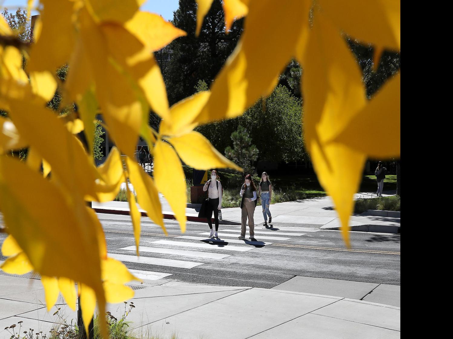 Nau Calendar 2023 Nau Proposes Tuition Increase For 2022-2023 School Year | Education |  Azdailysun.com