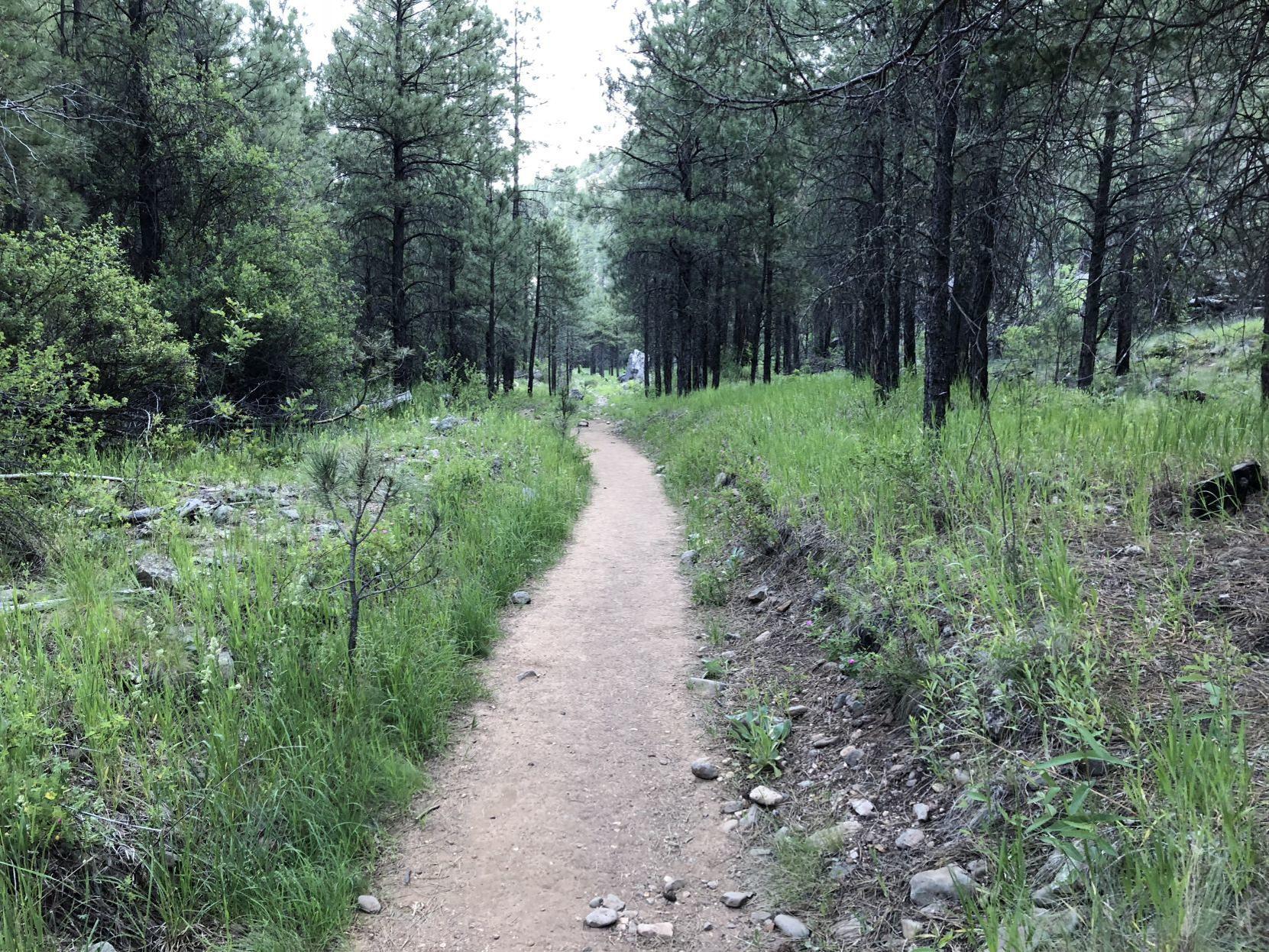 The Arizona Trail Is Open But Should Thru Hikers Make The Journey Local Azdailysun Com