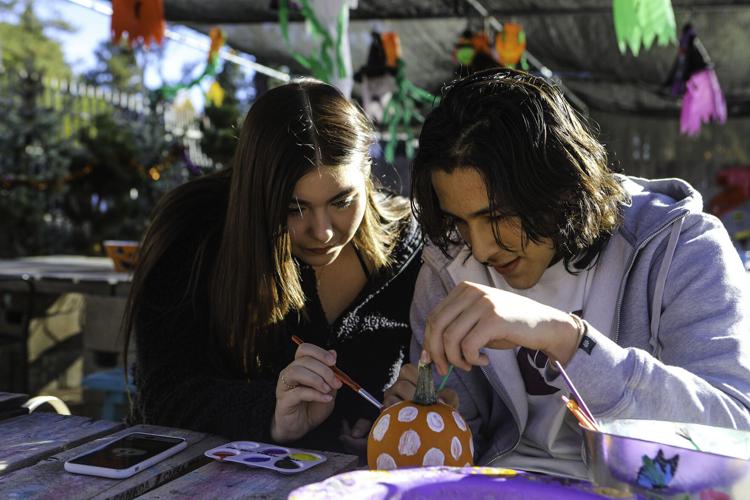 Gallery Pumpkin patch fun at Viola's Local News