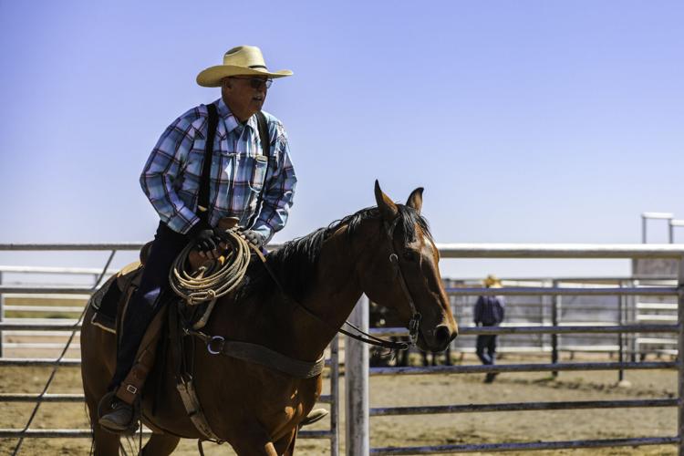 Gallery Colt sale at Babbitt Ranches kicks up the dust Local News