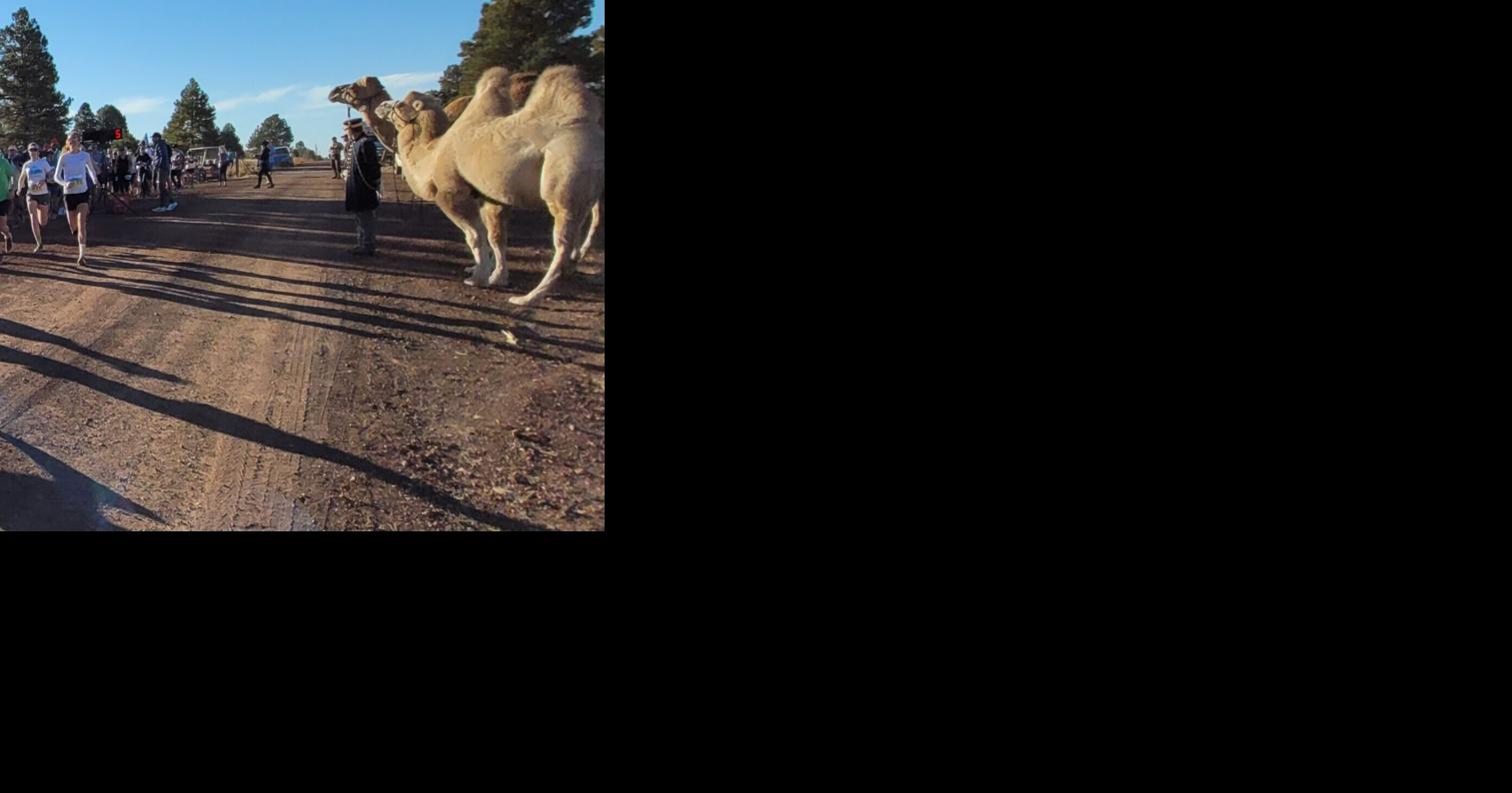 HIGH COUNTRY RUNNING Flamingoeating dinosaurs were just the beginning