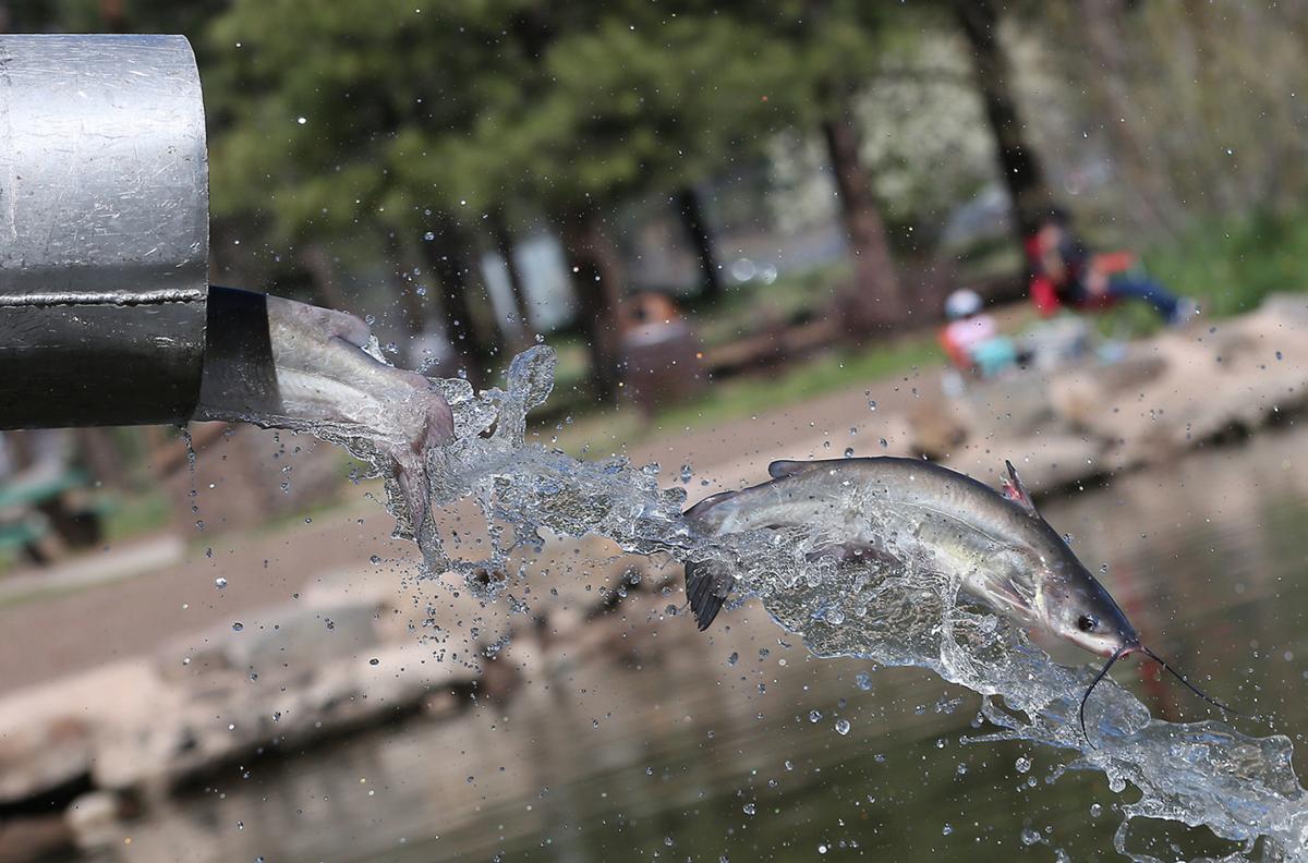 The Rainbow Trout Farm Sedona Monthly Magazine