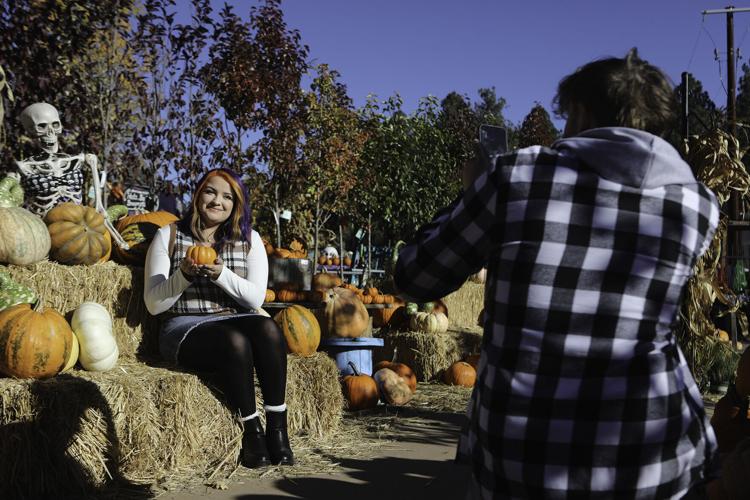 Gallery Pumpkin patch fun at Viola's Local News
