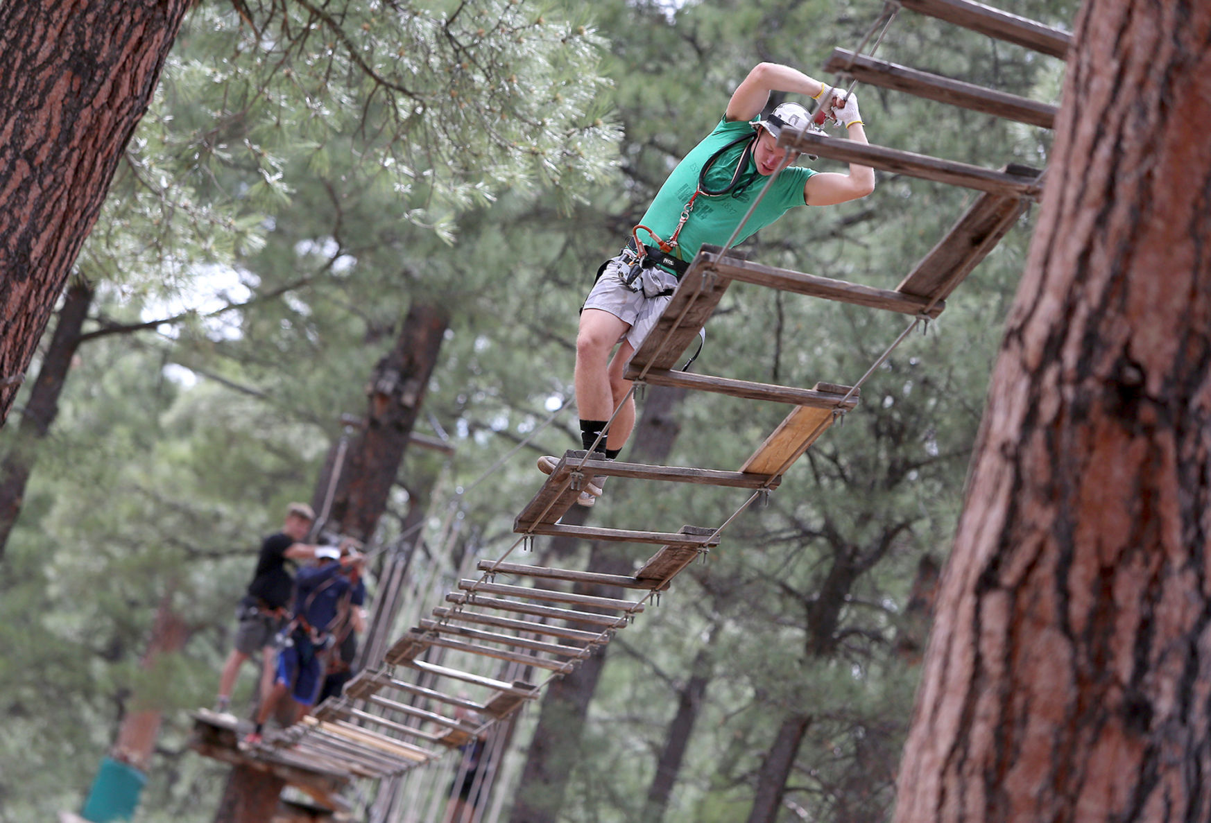 Play in the trees with Flagstaff Extreme Adventure Course