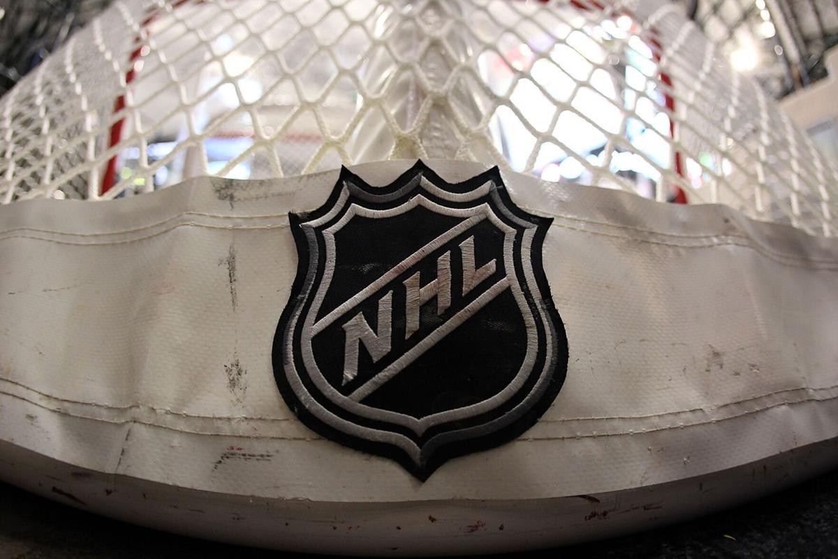 An NHL logo on a goal at American Airlines Center on April 8, 2010 in Dallas, Texas.