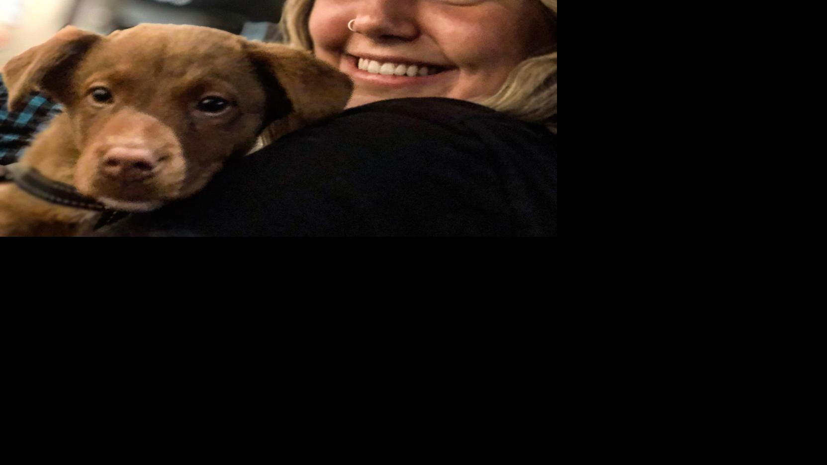 Wags for pet-friendly Flag