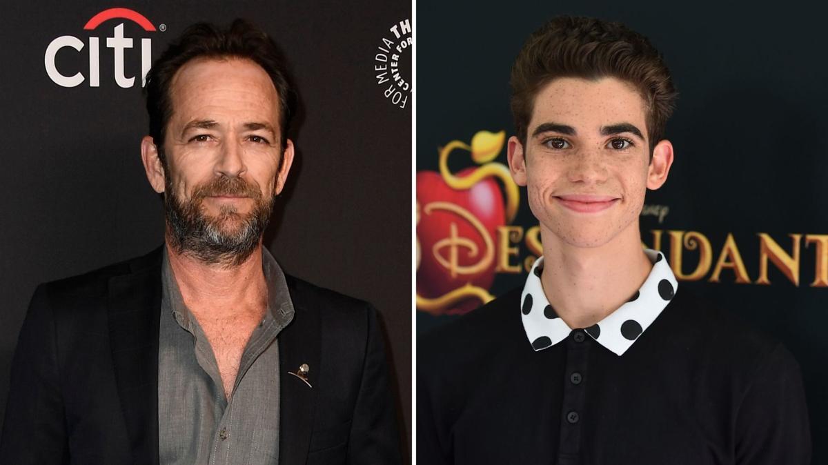 Luke Perry, Cameron Boyce & More Snubbed From 2020 Oscars 'In Memoriam'