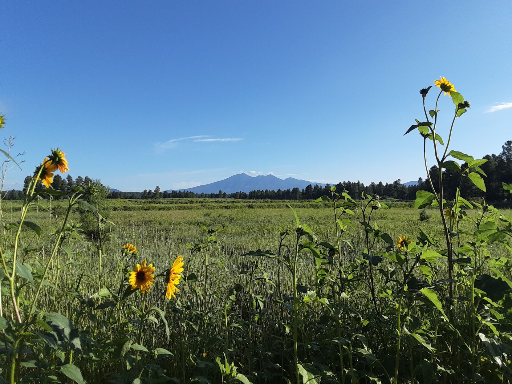 HIGH COUNTRY RUNNING: Inspiration and motivation for our running resolutions 