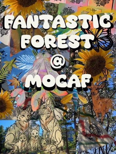 Fantastic Forest at MOCAF