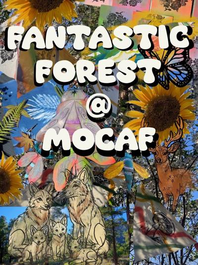 Fantastic Forest at MOCAF