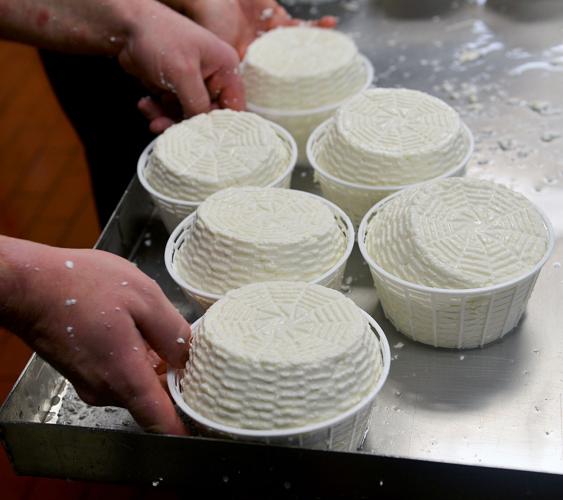 FOOD-BASKET-CHEESE-1-PG