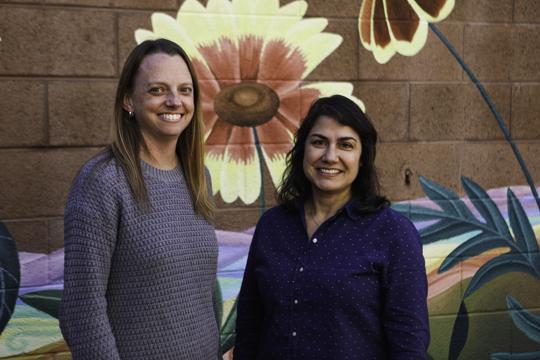 Reunifying Flagstaff Families: Coconino County establishes Family