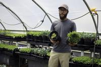 Forestdale Farm Fish Experiment