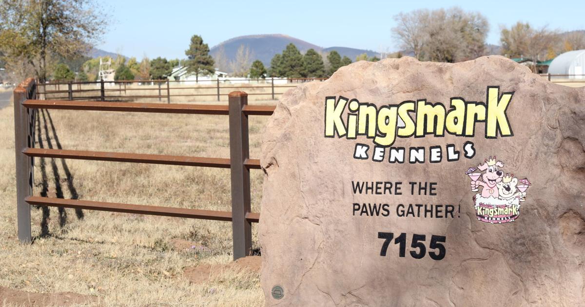 From paws to pincers, Kingsmark Kennels offers Flagstaff pets a home away from home
