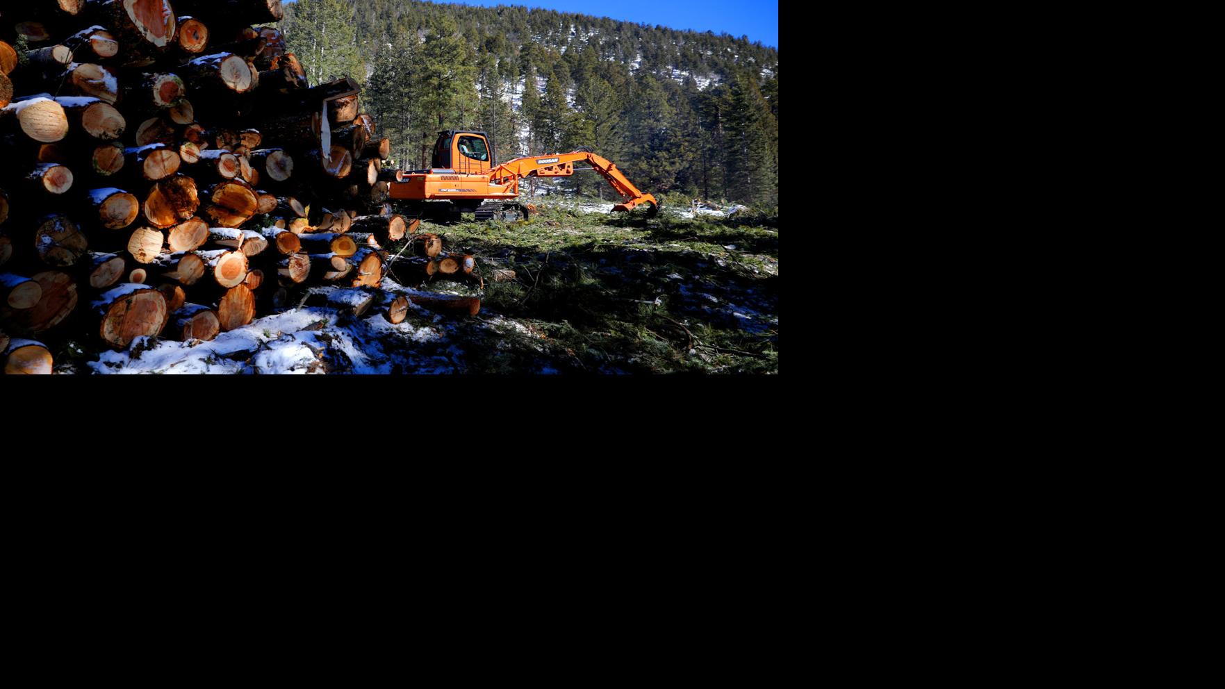 U.S. Forest Service hopes new minimum rates can help clear forests