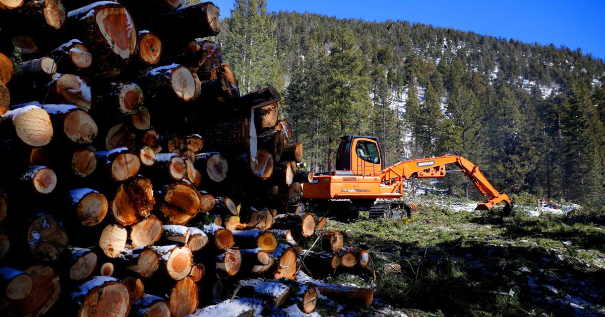 Logging Operator Minor delays for winter storm, logging operators report | Local News ...
