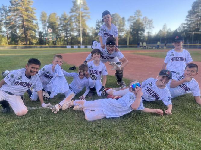 Continental Little League Pinstripes AAA Championship