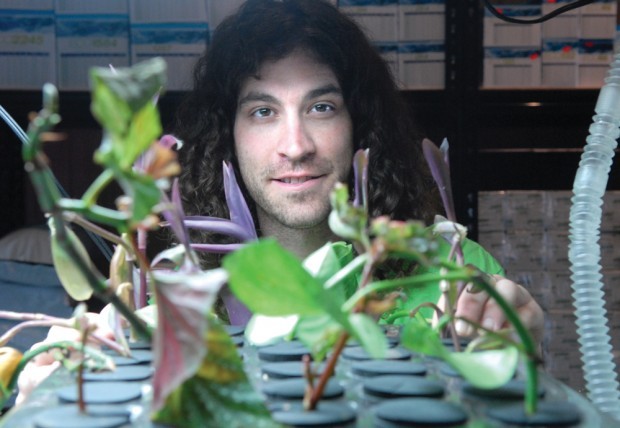 Greening up indoors | Business | azdailysun.com