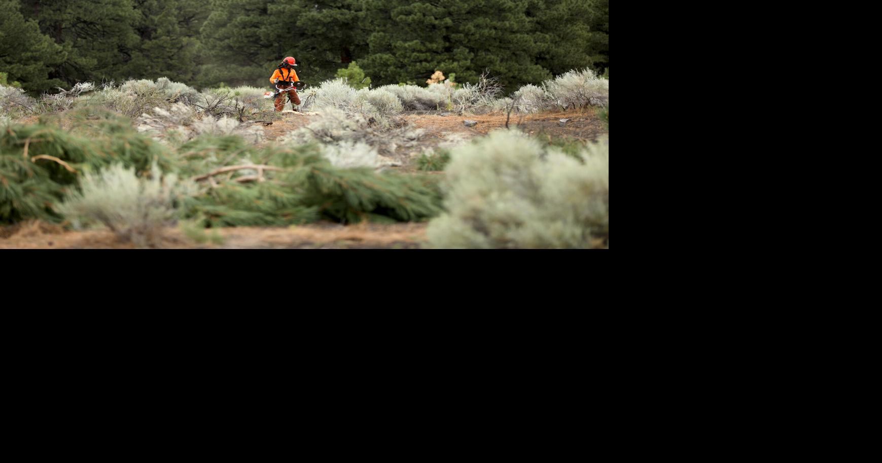 Crews remove vegetation from Cinder Lakes Crater Field to restore moon training area