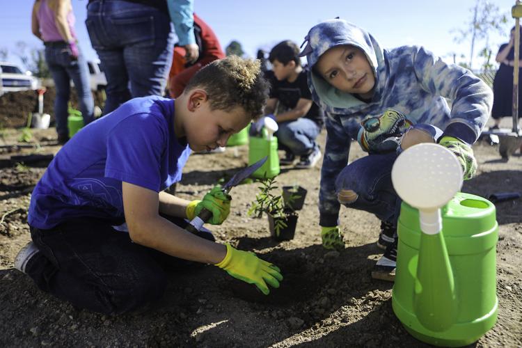 Pollinator Garden Planted at Killip
