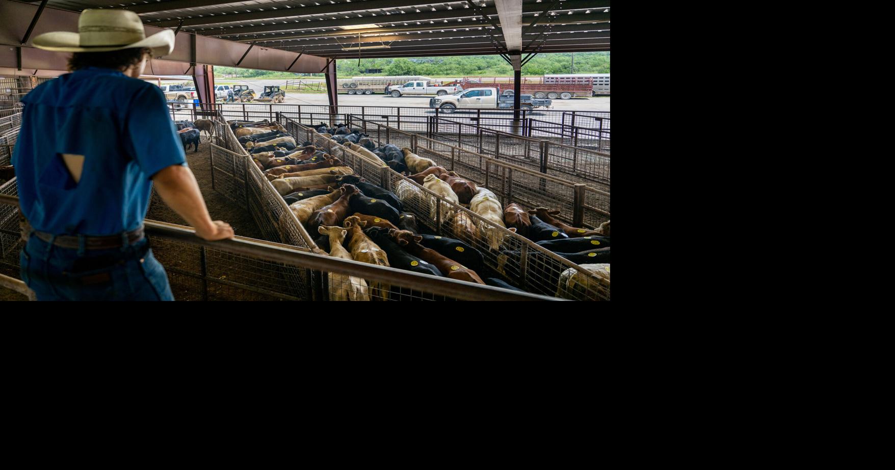 Trump announces plan to let farmers process their own food