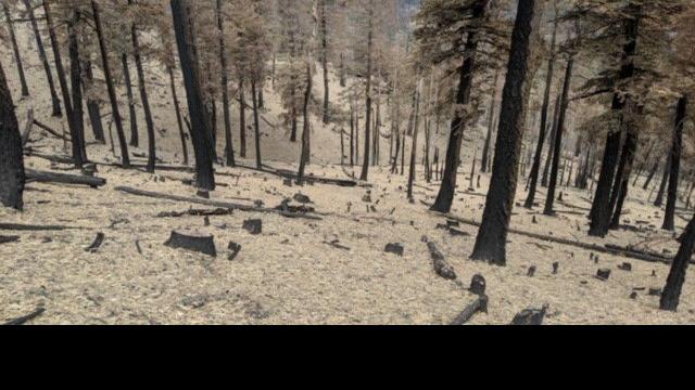 NAU climate summit sparks conversations on drying landscapes, rising temperatures and fire