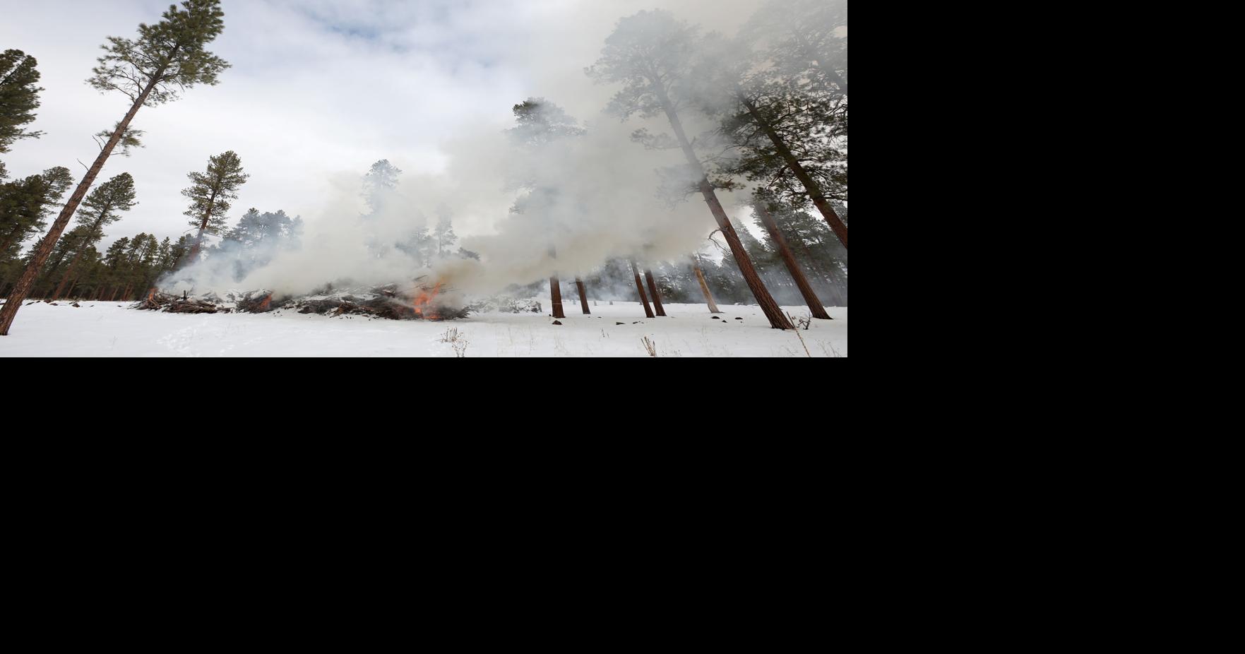 Graphyte seeks to expand to Coconino County to help with 'biomass ...