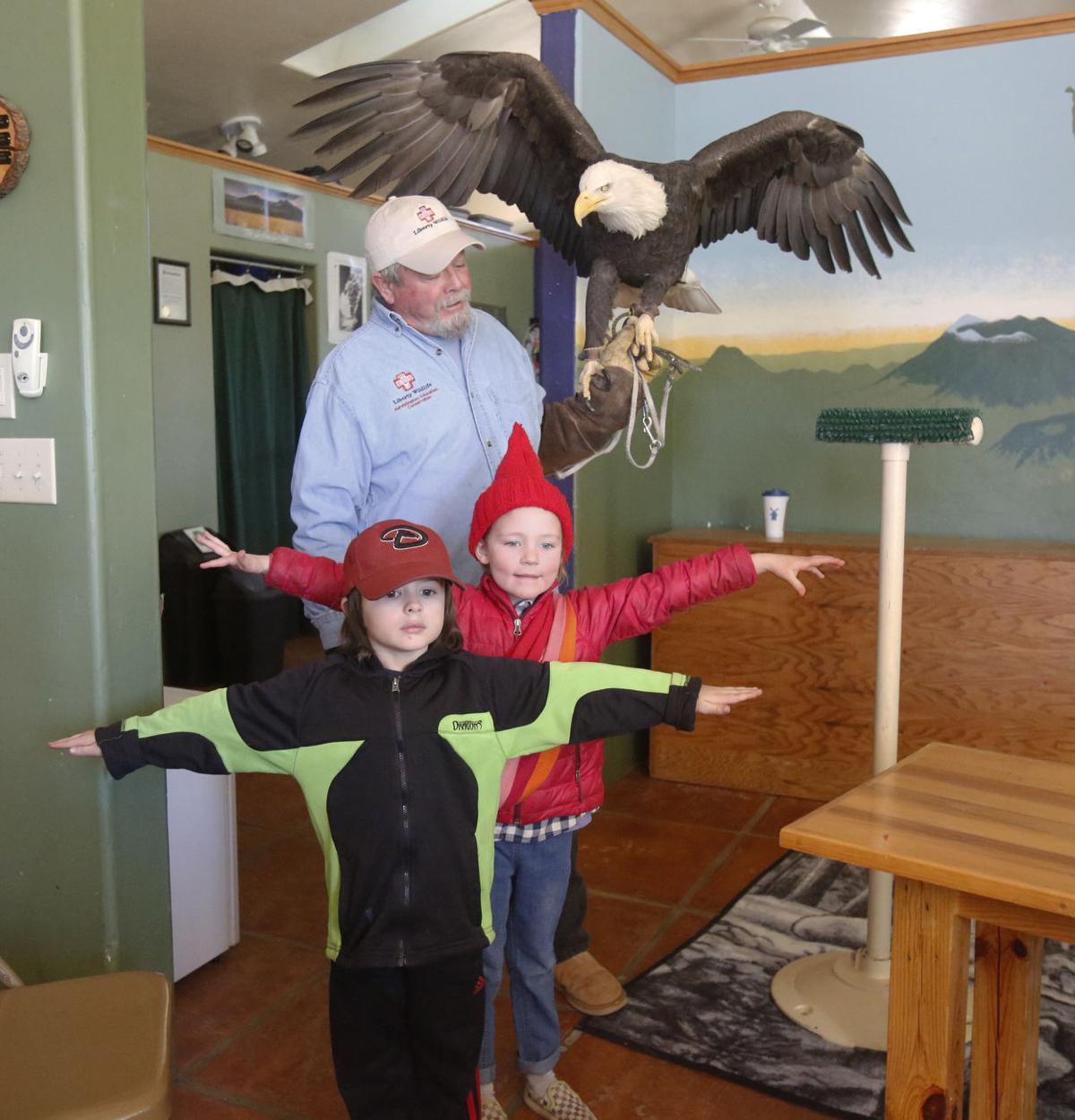 FLY LIKE AN EAGLE