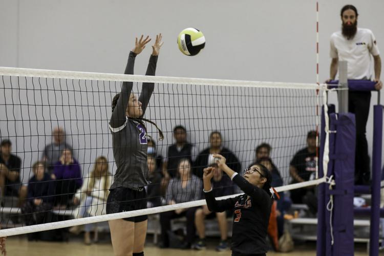 Gallery: Basis Flagstaff volleyball loses to Page Sports azdailysun com