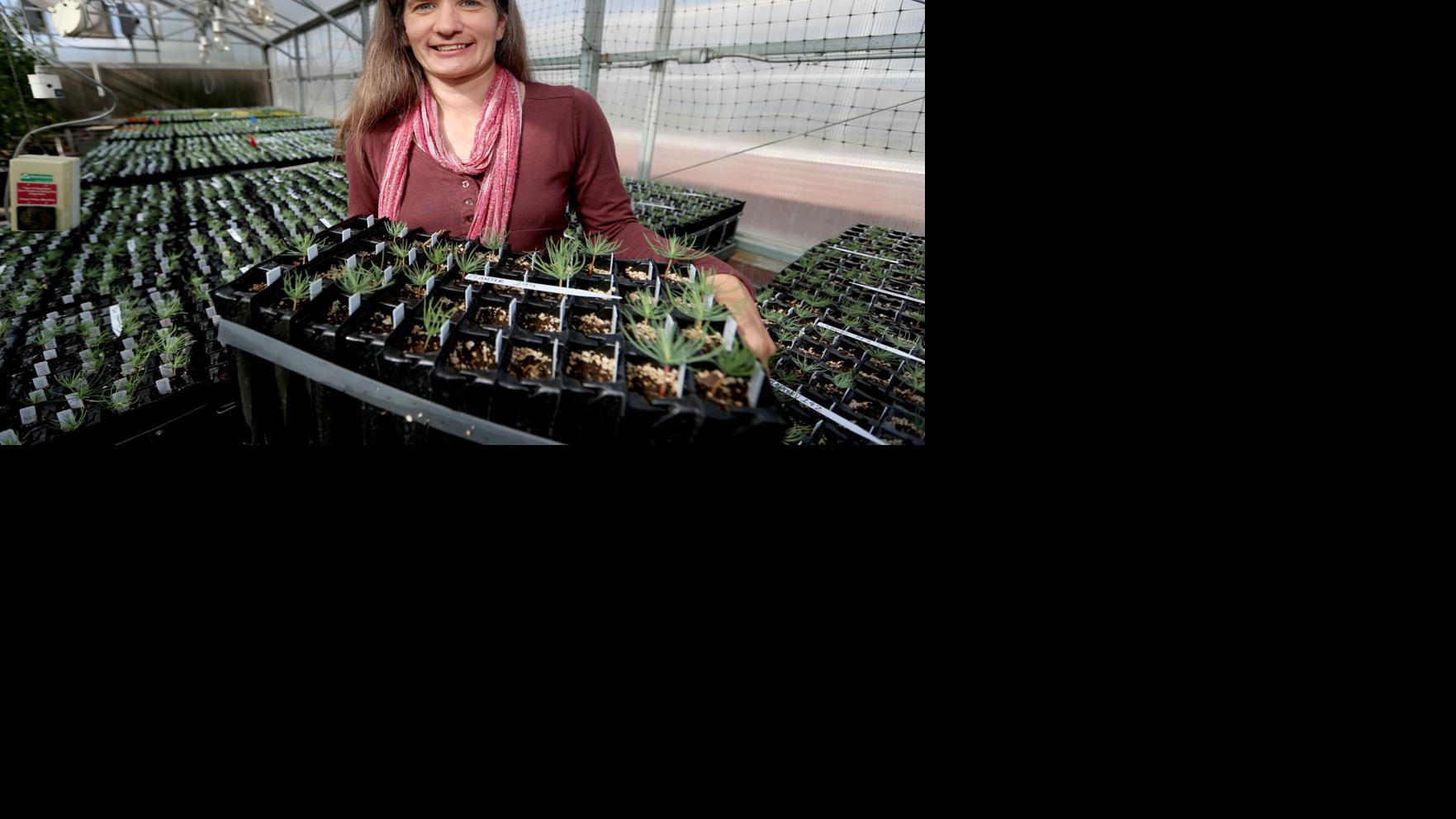 Our View: Climate change &lsquo;winners&rsquo; would still be losers