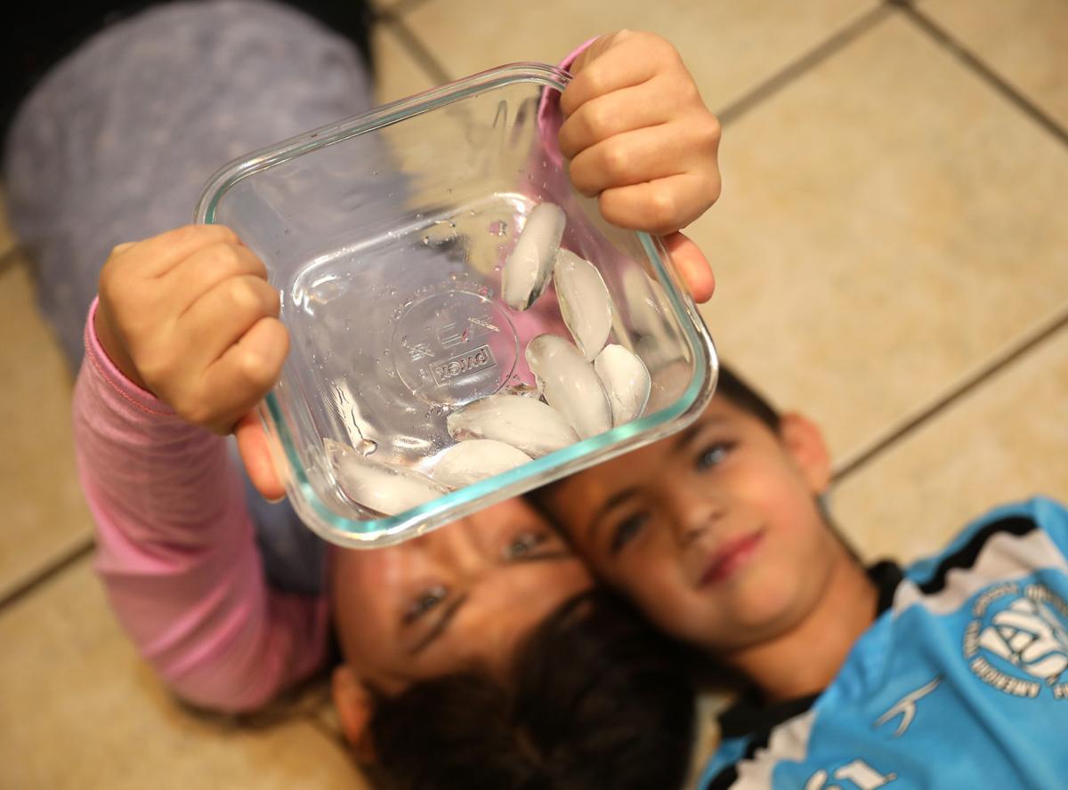 Snow Day Superstitions Sweep Across Flagstaff Local Azdailysun Com