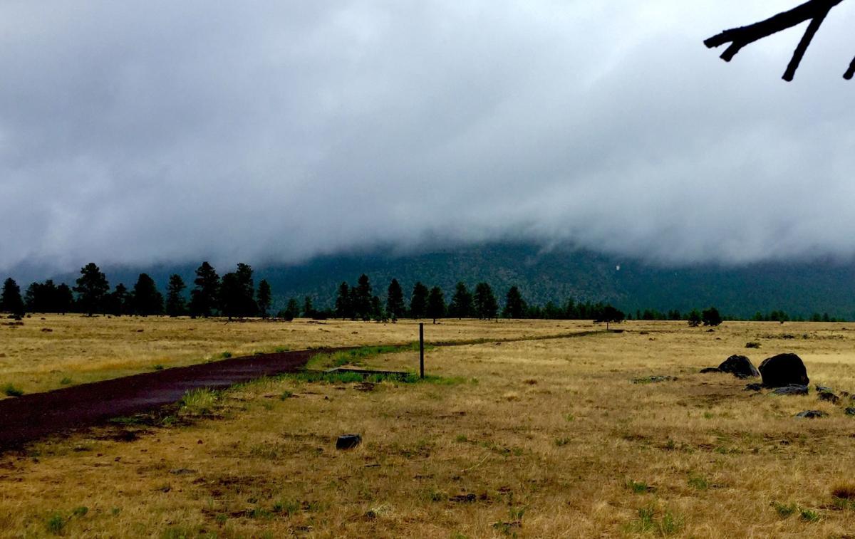 Flagstaff economy thrives despite forest closures News