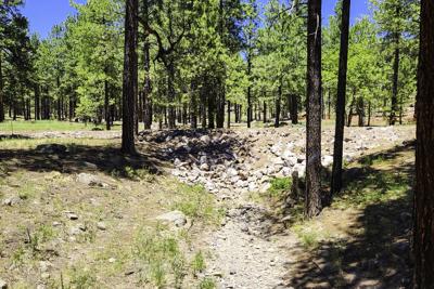 Schultz Flood Control