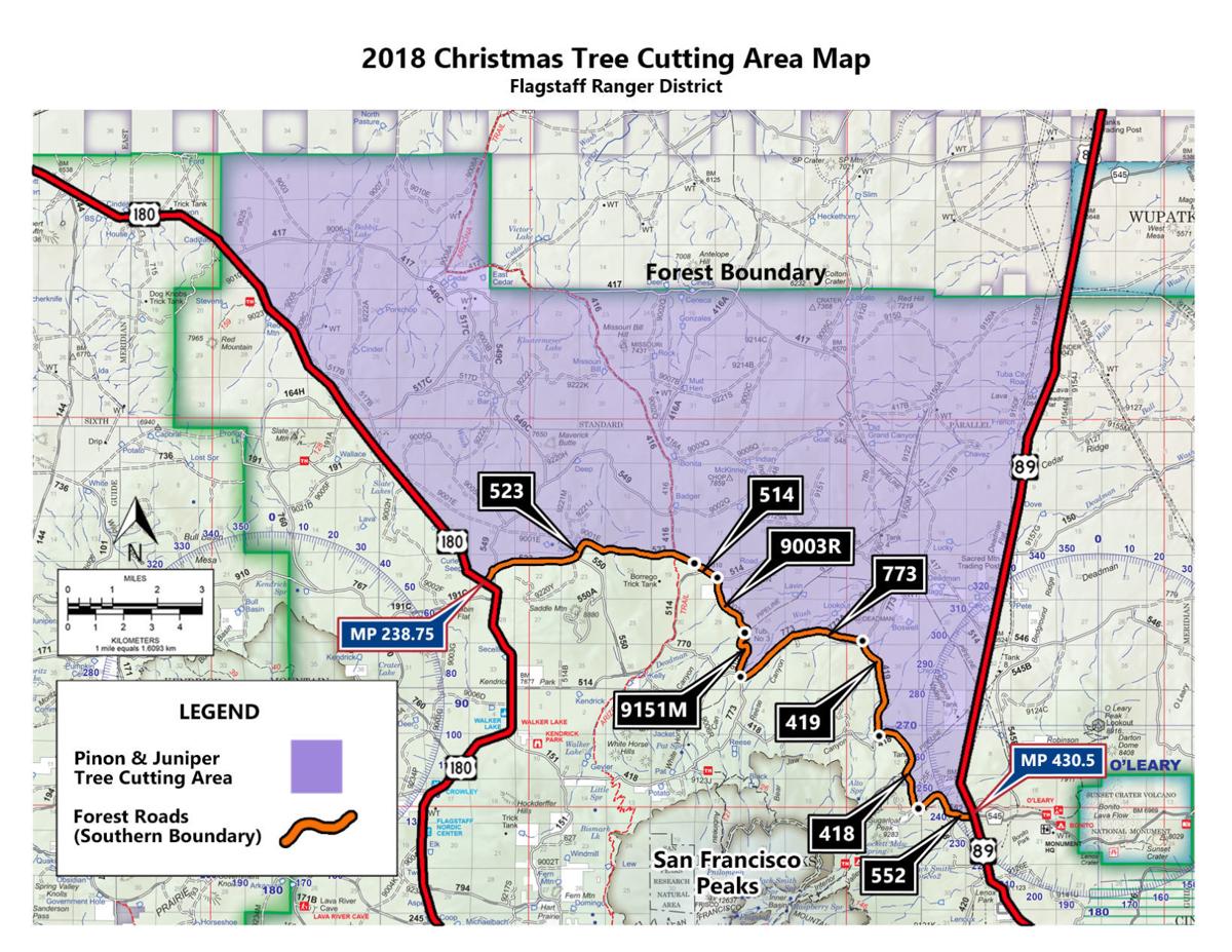 Coconino National Forest to sell Christmas tree permits beginning Nov