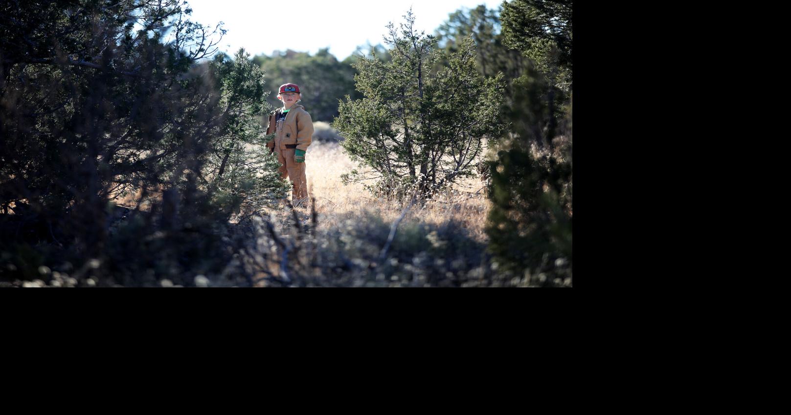 Coconino National Forest Christmas tree permits available online Nov. 9