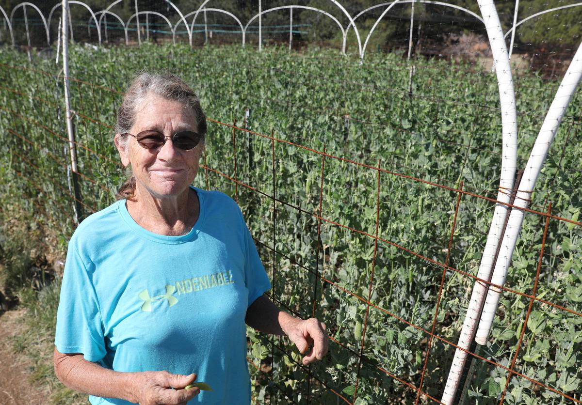 Drought Hits Local Farmers